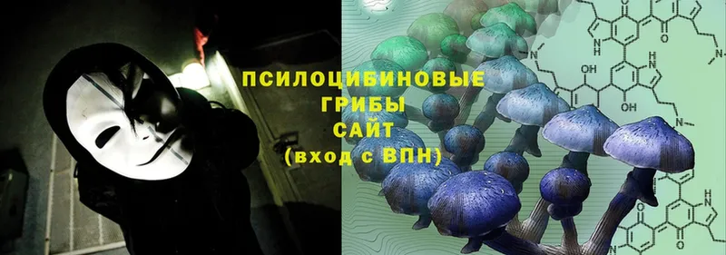 Галлюциногенные грибы Psilocybe  omg вход  даркнет клад  Завитинск 